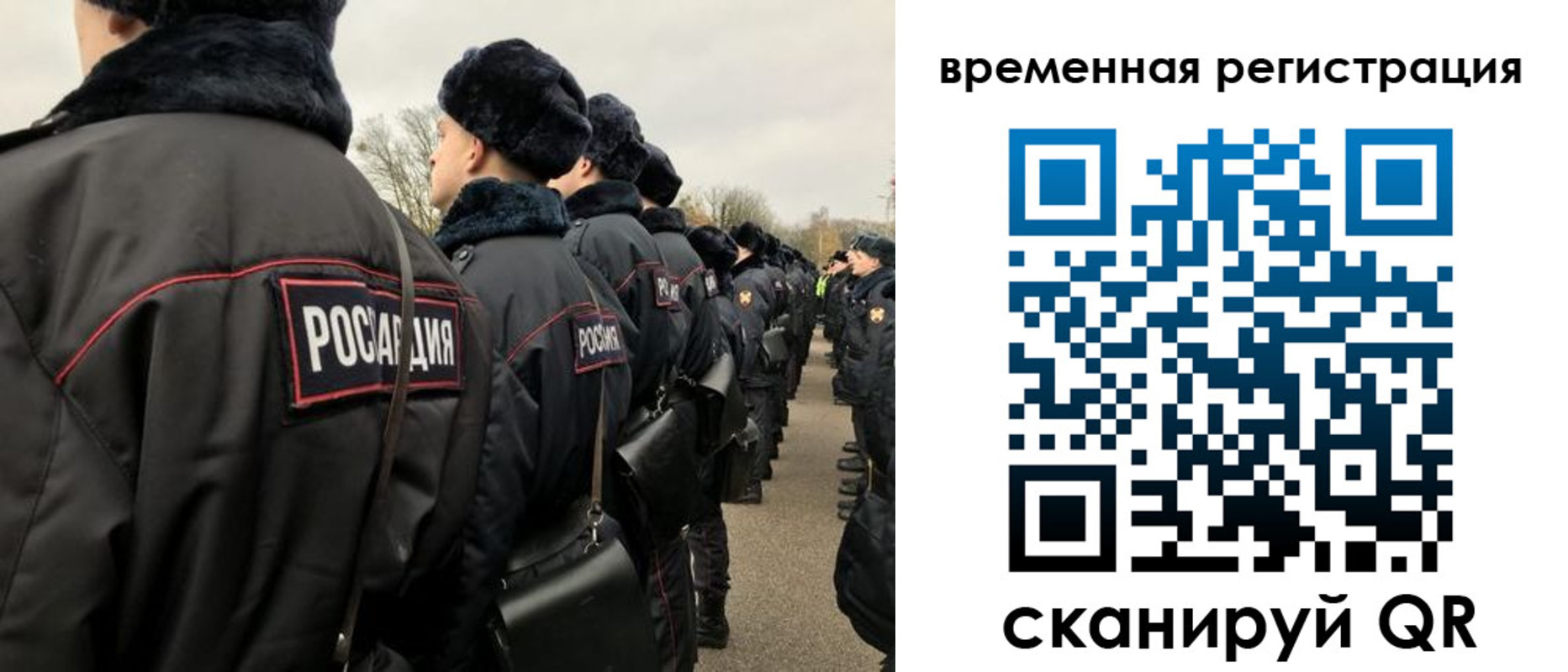 прописка гарантия в Бронницах